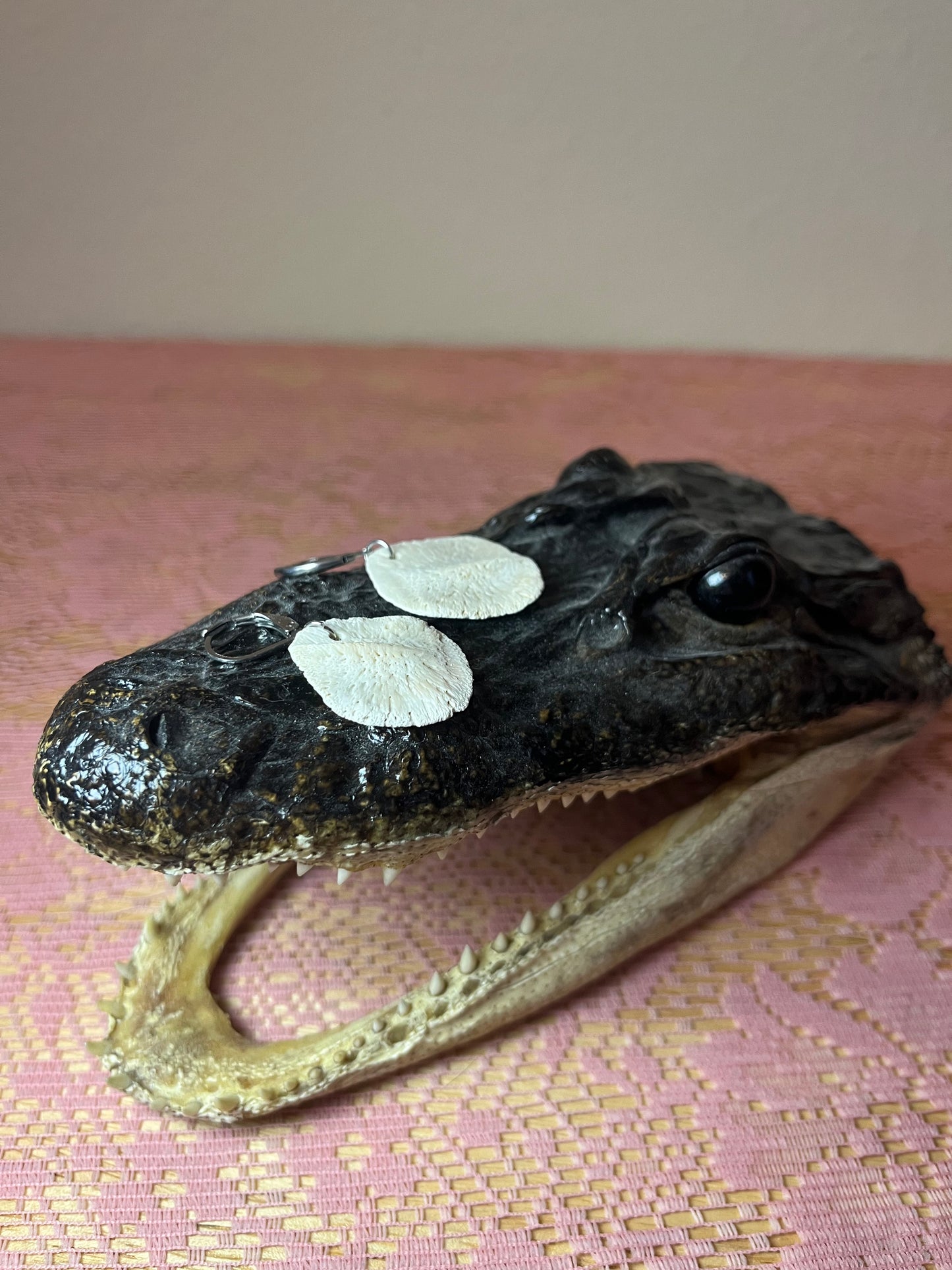Large Scute Earrings